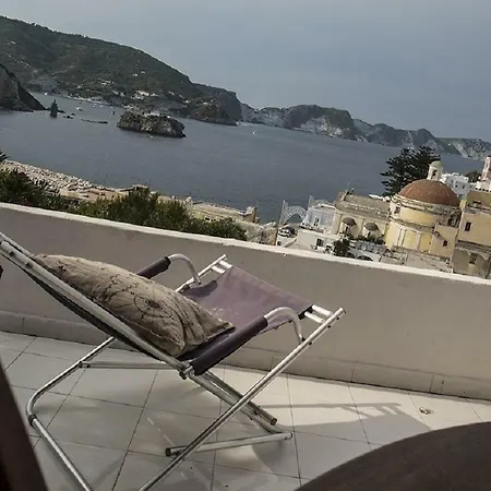 Sciolari
